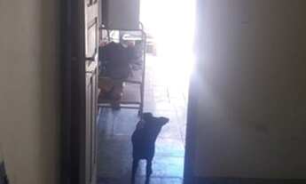 Imagem 3: MF 36 Casa para venda em Massaranduba