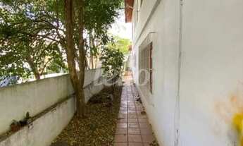 Imagem 2: São Paulo - Casa Padrão - Pinheiros