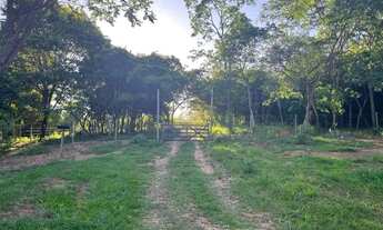 Imagem 7: Sitio 20.000 m², casa, piscina, área gourmet, agua corrente, cisterna, poço artesiano