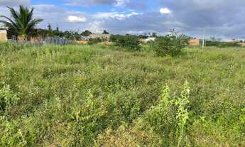 Imagem 3: Mini Sítio Haras Recanto