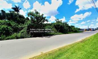 Imagem: Lote Terreno 7000 metros quadrados em Tarumã-Açu