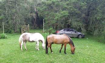 Imagem 2: Chácara à venda, 43700 m² por R$ 990.000,00 - Estação - Araucária/PR