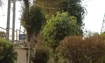 Imagem 6: Excelente casa de alvenaria no São Braz, Orleans, privativa, ensolarada, terreno grande!