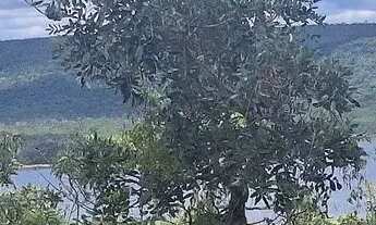 Imagem 2: Imóvel para venda possui 30000 metros quadrados em Zona Rural - Três Marias - MG