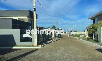 Imagem: Rua Jacarandá