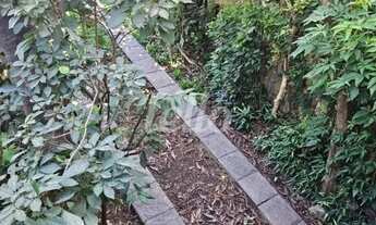 Imagem 4: Casa 3 quartos à venda no(a) Tucuruvi