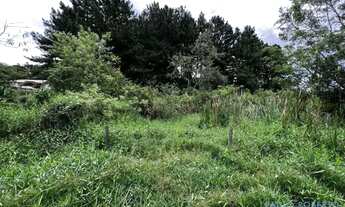 Imagem 5: AREA - CHÁCARA SANTA LÚCIA - SP