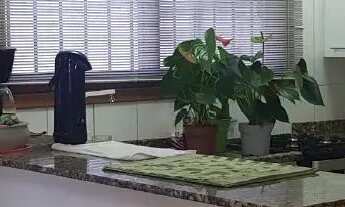 Imagem 5: Casa residencial à venda no bairro Guarani com 220 m² e 4 dormitórios/quartos