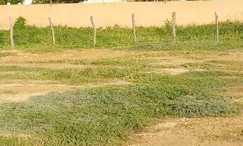 Imagem 2: Vendo terrenos na praia da caueira a 250 metros da praia na melhor localização