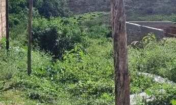 Imagem: Terreno no Loiola