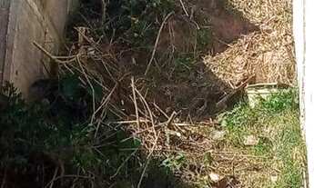 Imagem: Terreno á venda no bairro Jardim Marilu