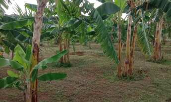 Imagem 5: Chácara em Bonfinópolis