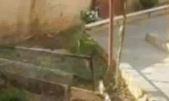 Imagem 6: ESPETACULAR CASA BAIRRO DA VILA ROMERO, PERTO DO SANTANA PARK , 10 VAGAS, R$ 2.250.000,00