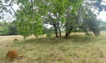 Imagem 7: Chácara de 20.000 m² toda cercada, com riacho nos fundos, Jaboticatubas