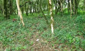 Imagem 2: Hectares para chácara