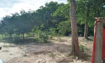 Imagem 3: Sítio à venda, BR, Rosário Oeste, MT