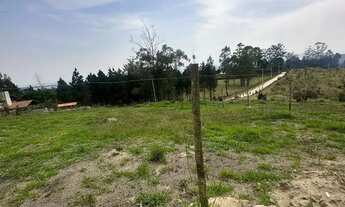 Imagem 2: Lotes para venda possui 1000 metros quadrados em Centro (São João Novo) - São Roque - SP