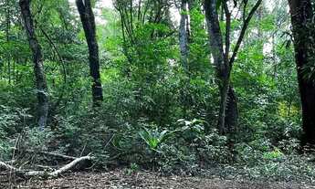 Imagem 7: Chácara Estância Vargem Bonita