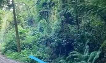 Imagem 2: Terreno em Ubatuba