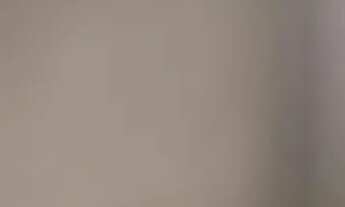 Imagem 3: Alugo Casa direto proprietário bairro Martins