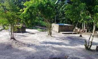 Imagem: Sítio/Terreno com 10,6 hectares à venda