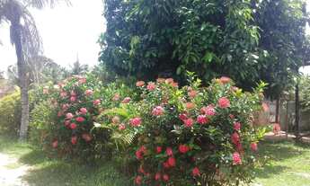 Imagem 2: Alugo casa grande