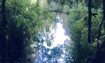 Imagem 7: Sítio com casa!!