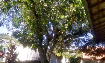 Imagem 3: Linda Casa no Retiro das Fontes em Atibaia-SP