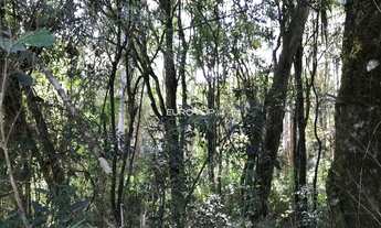 Imagem 4: Linda área nos Caminhos de Pedra!