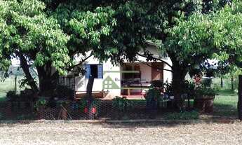 Imagem 6: Fazenda à venda, 19868200 m² por R$ 50.000.000,00 - Santa Rita do Pardo - Santa Rita do P