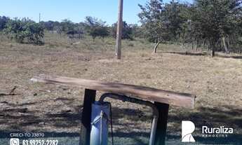 Imagem 5: Fazenda com dupla aptidão em Almas - TO