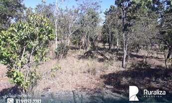 Imagem 3: Fazenda com dupla aptidão em Almas - TO