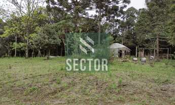 Imagem 4: Fazenda / Sítio / Chácara em Rio de Una - São José dos Pinhais