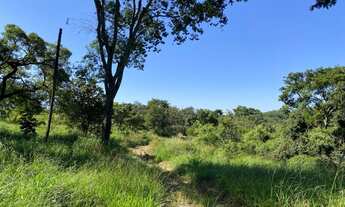 Imagem: Chacara em Professor jamil