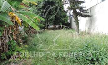 Imagem 3: São Paulo - Casa Padrão - Campo Belo