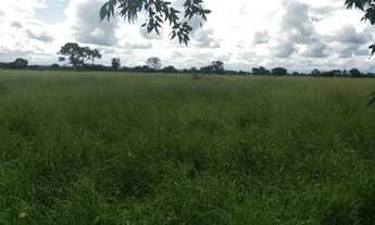 Imagem 3: Fazenda em buritizeiro 5.386 hectares 70.000.000.00 ( ney