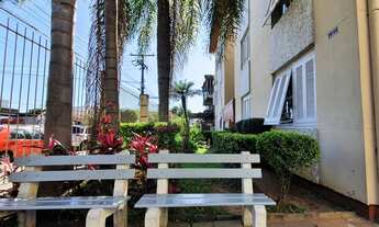 Imagem 3: Junto ao Carrefour