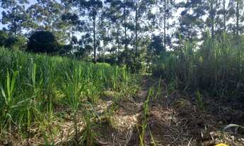 Imagem 2: Fazenda/Sítio/Chácara para venda tem 20000 metros quadrados em Lomba Grande - Novo Hamburg