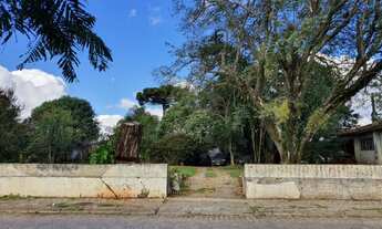 Imagem 2: Terreno Campo Largo Centro