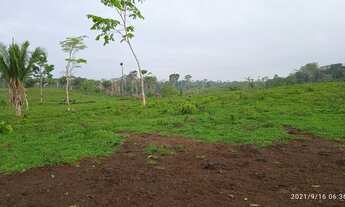 Imagem 12: Vendo ou troco uma Terra em Feijó