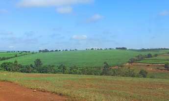 Imagem: Fazenda/Sítio/Chácara para venda tem 355014