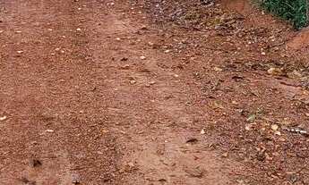 Imagem 5: Sítio Chácara com venda por R$150.000