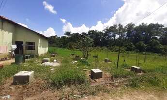 Imagem 4: Terreno no bairro do Tenoné