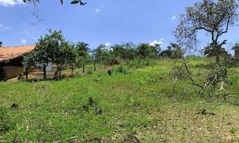 Imagem 2: Chácara 4000m², Frente GO-040, Terra de Cultura, Pés de Frutas, Cercada, 70km Goiânia