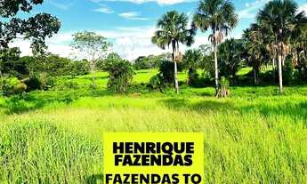 Imagem 2: Fazenda de cultura oportunidade região Paraíso Tocantins ....