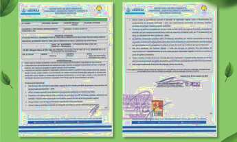 Imagem 4: Breve Lancamento Do Vila Verde Exclusiv Prainha Com Parcelas A Partir De R$399,00. conheça