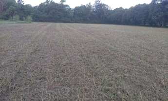 Imagem 4: A,Moura gestor Imobiliário-Vende 1 Belíssima Chacara 37ha Documentada em Vigia de Nazaré