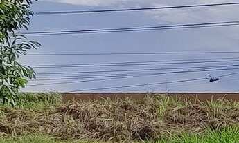 Imagem 5: VENDE SE OU ALUGA SE CHÁCARA