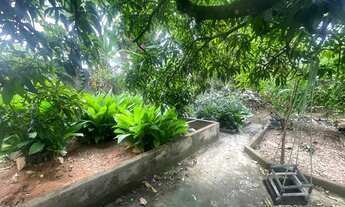 Imagem 7: Casa com cara de chácara em Arniqueiras