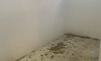 Imagem: Casa no Arenoso